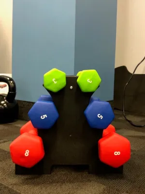 Life Sport 32 Pound Neoprene Dumbbell Set with Stand