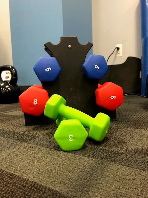 Life Sport 32 Pound Neoprene Dumbbell Set with Stand